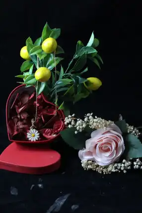 Daisy Necklace & Mini Bunch of Pink Roses in a Special Heart Box