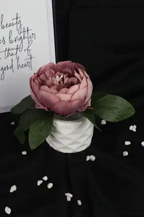 Flower Stone Potted Peony Flower 1 Piece Artificial