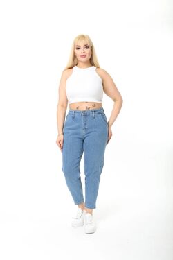 Women's Snow Wash Plus Size Pleated Mom Jeans