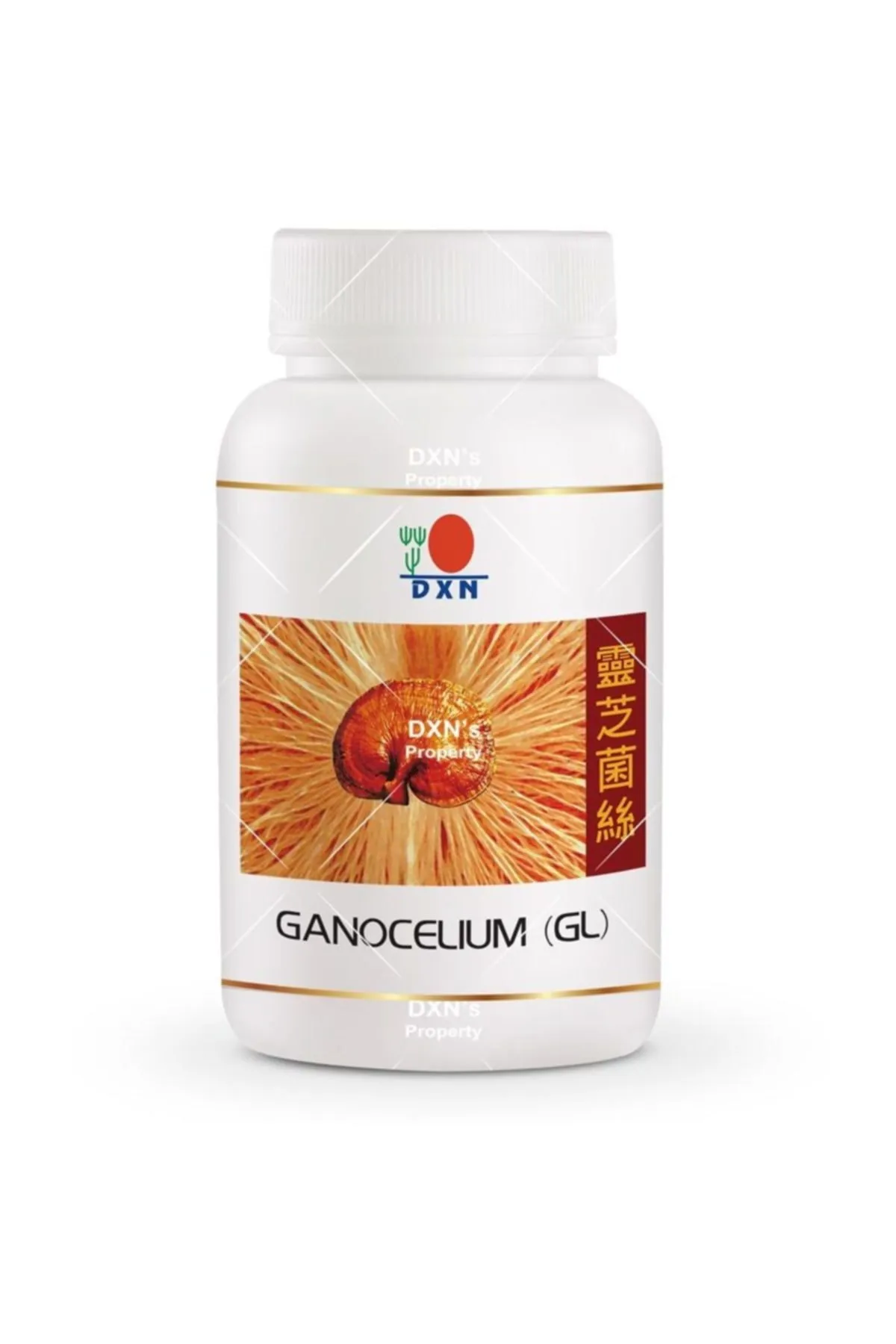 Reishi mushroom RG (90 capsules) Activate blood circulation - dissolve tumors - enhance immunity - treat anemia - fight cancer - treat rheumatism