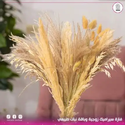 Natural dried plant bouquet (without vase)