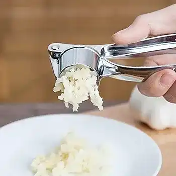 Professional stainless steel garlic press with handle