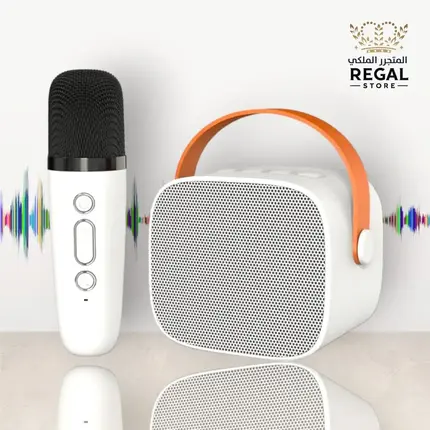 Portable BT Speaker with Wireless Microphone